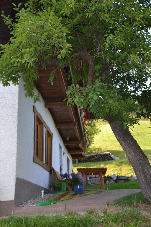 Vila Bauernhof Bachrain Taxenbach Exteriér fotografie